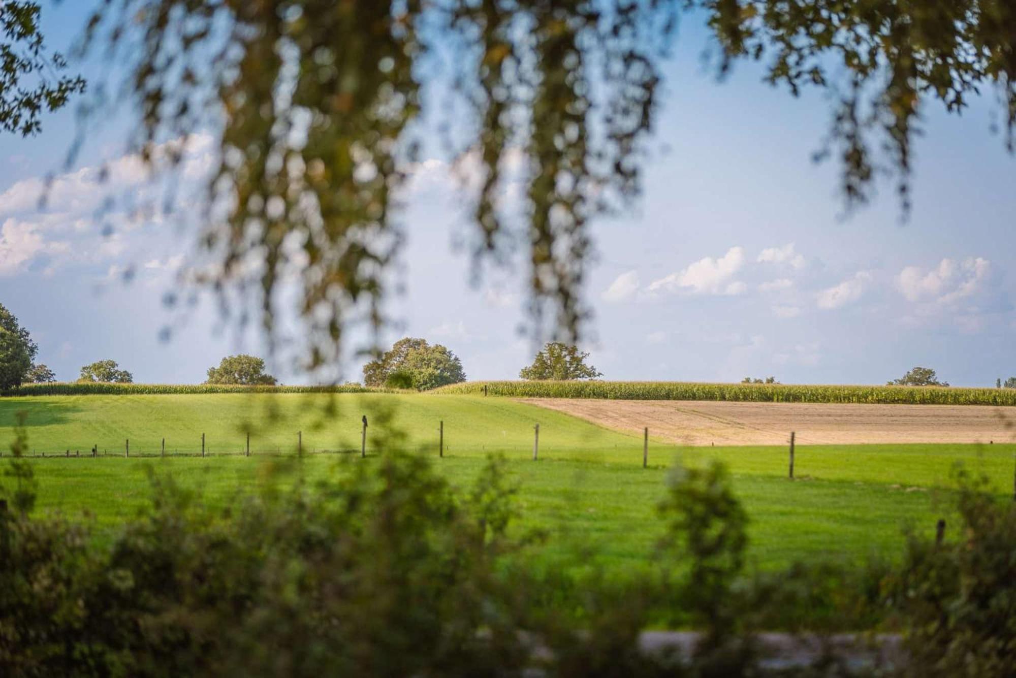 Zicht Op Twente - Spa Lodges 马尔克洛 外观 照片